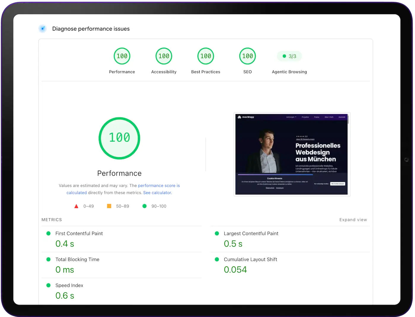 Screenshot: Google PageSpeed Insights – Ergebnis für maxWapp